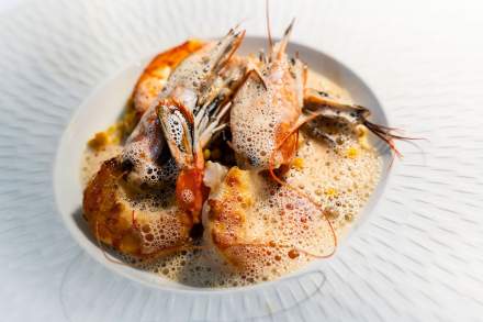 Aphyllanthe Leucate · Bistrot Leucate