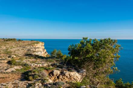Le Grand Cap & Aphyllanthe Leucate · Restaurant Bord de Mer Leucate