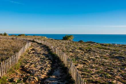 Aphyllanthe Leucate · Bistrot Leucate