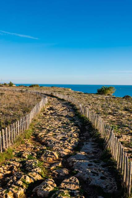 Le Grand Cap · Restaurant étoilé Leucate · Galerie Photos &amp; Vidéos